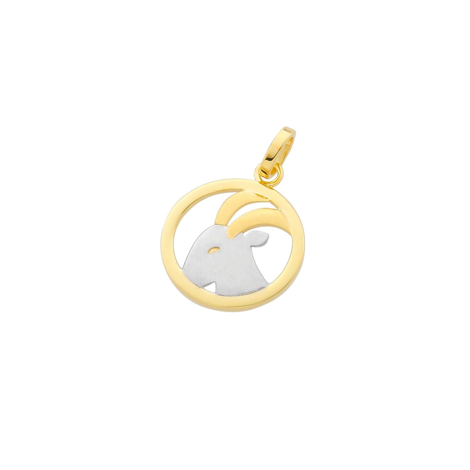 Pendant Zodiac Sign