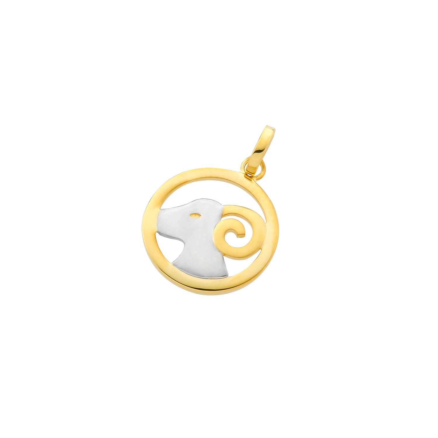 Pendant Zodiac Sign