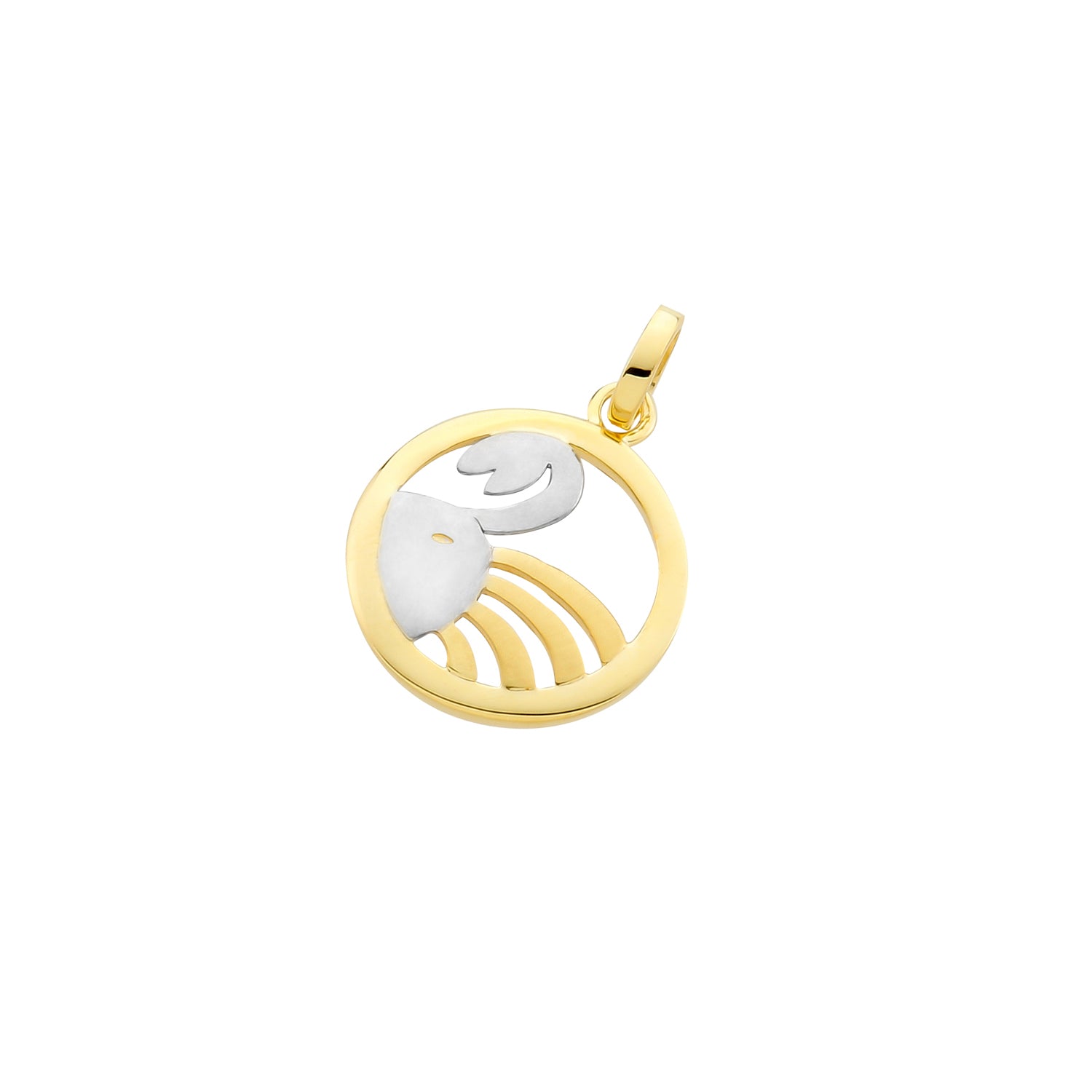 Pendant Zodiac Sign