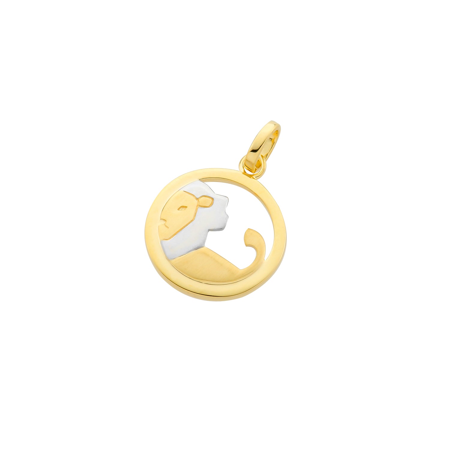 Pendant Zodiac Sign