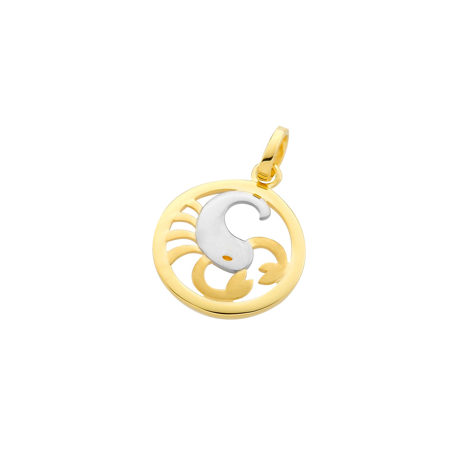 Pendant Zodiac Sign