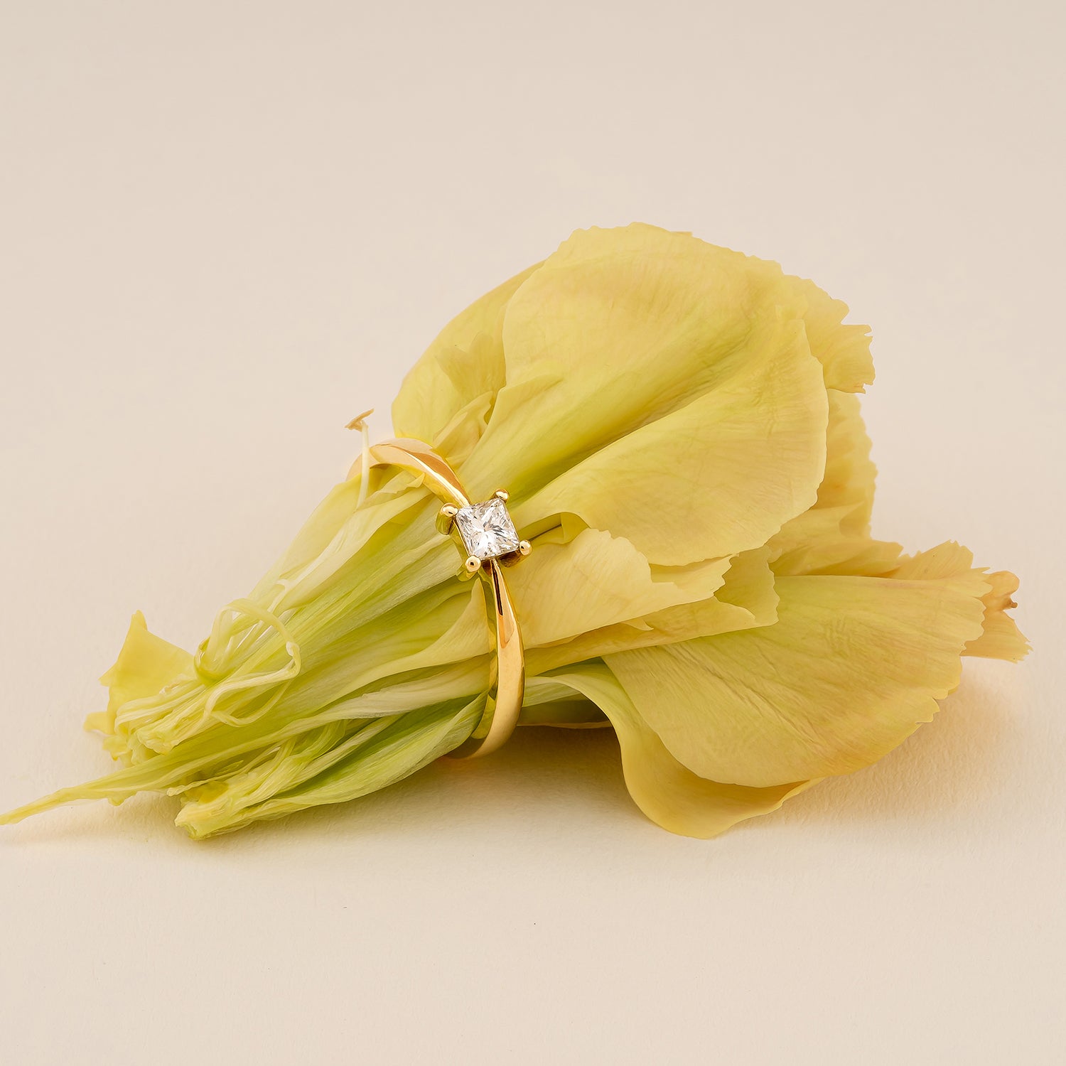Princess engagement ring