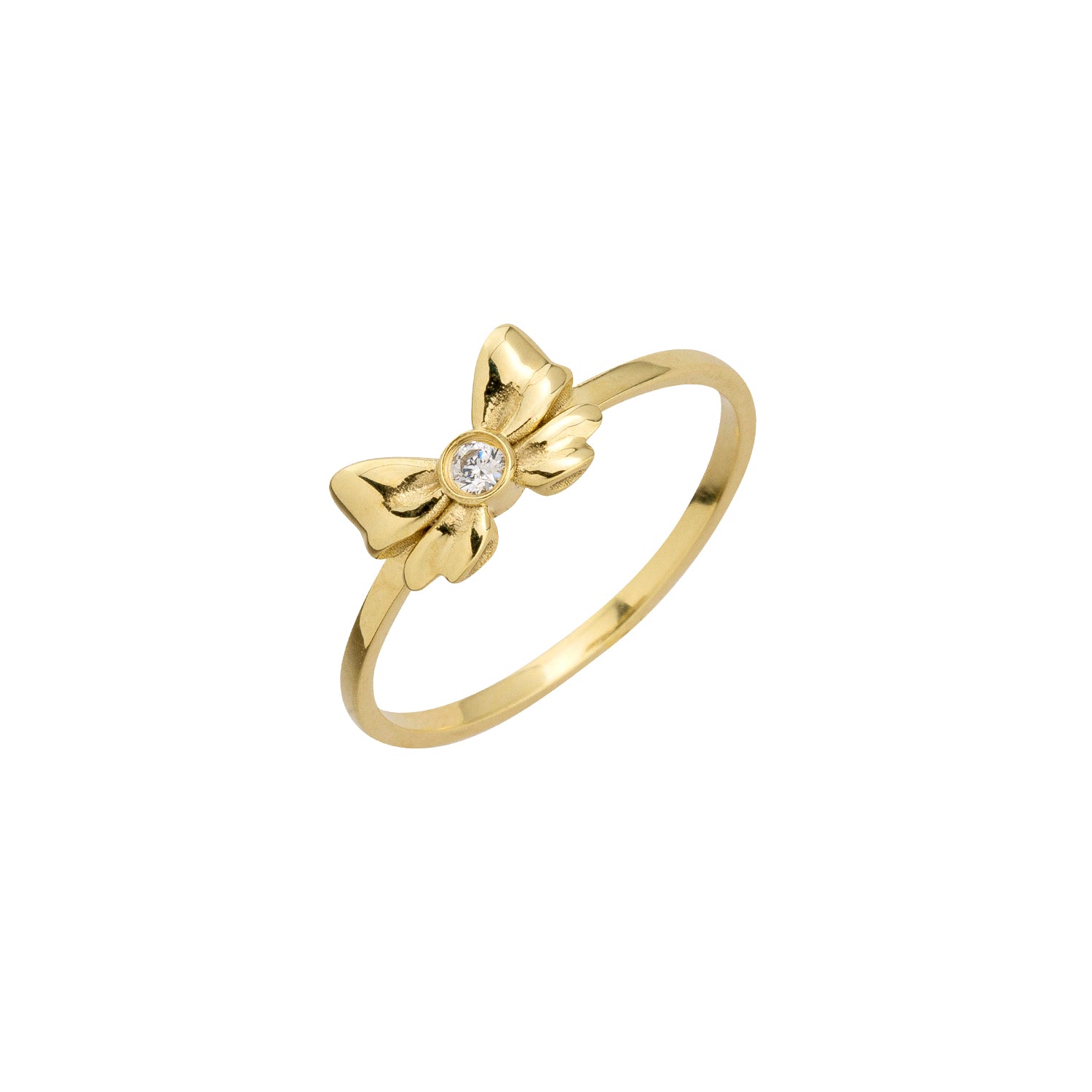 Ring Schleife