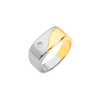 Ring Werner