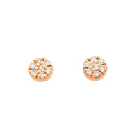 Earrings Meyra